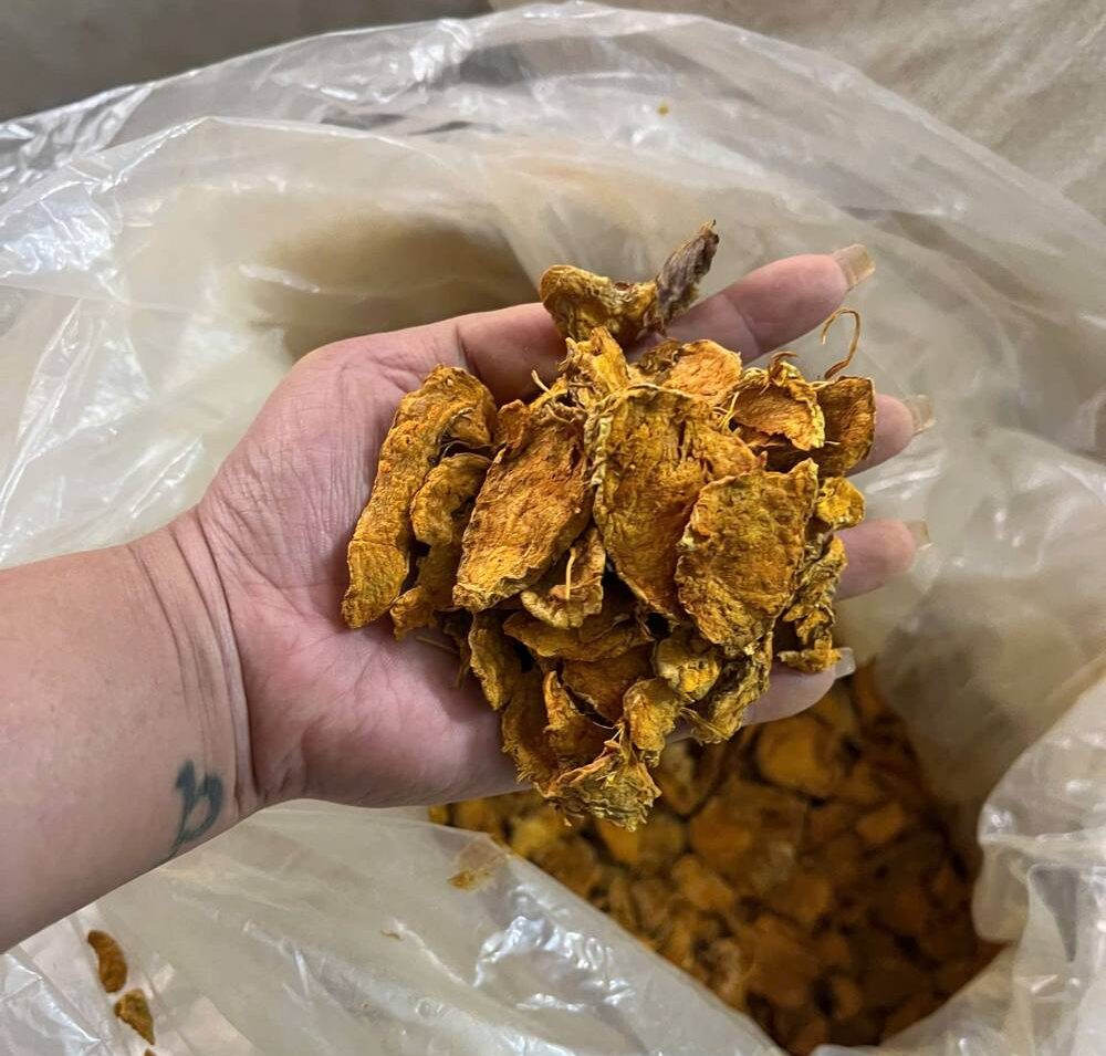 Sliced dried turmeric