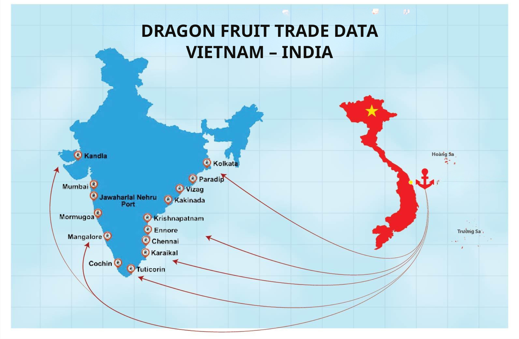 India–Vietnam Dragon Fruit Trade Data