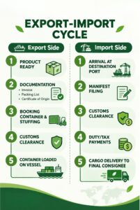 Importing Coconuts from Vietnam to India: Step-by-Step Guide
