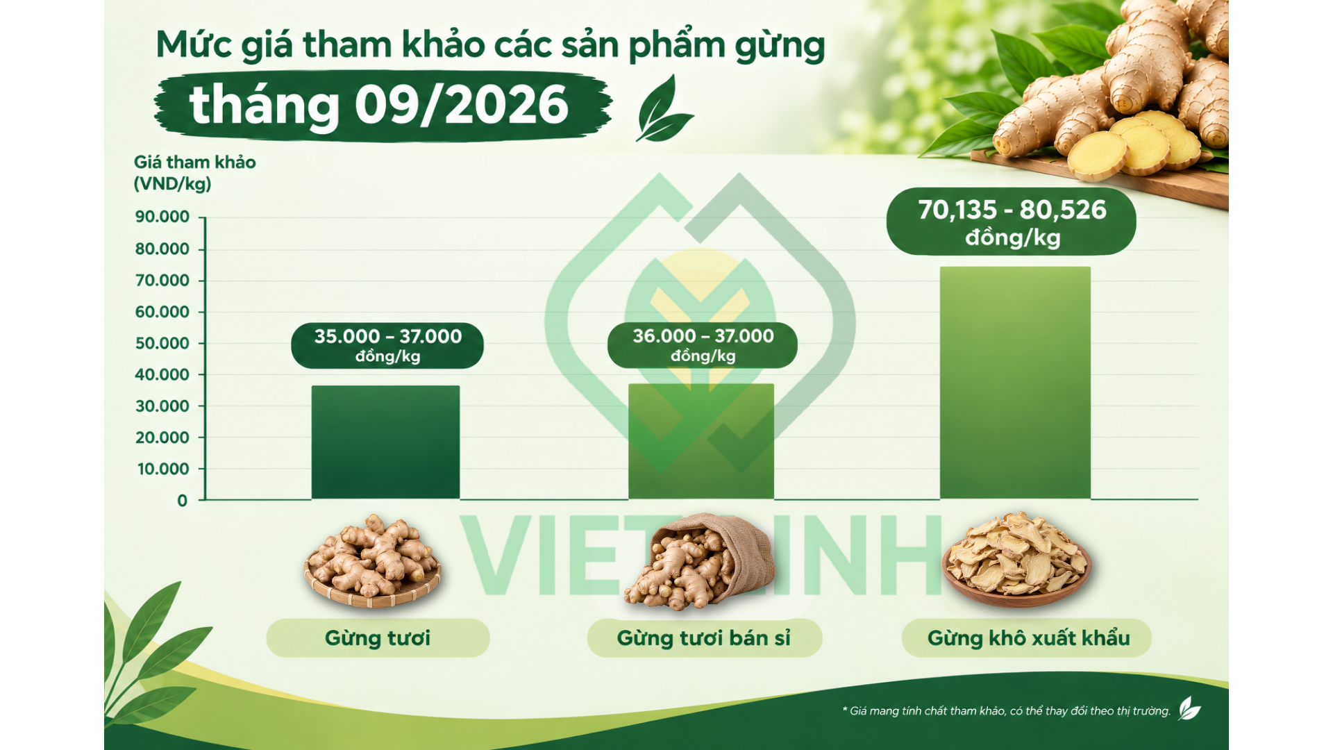 Gi&aacute; gừng hiện tại th&aacute;ng 9/2026