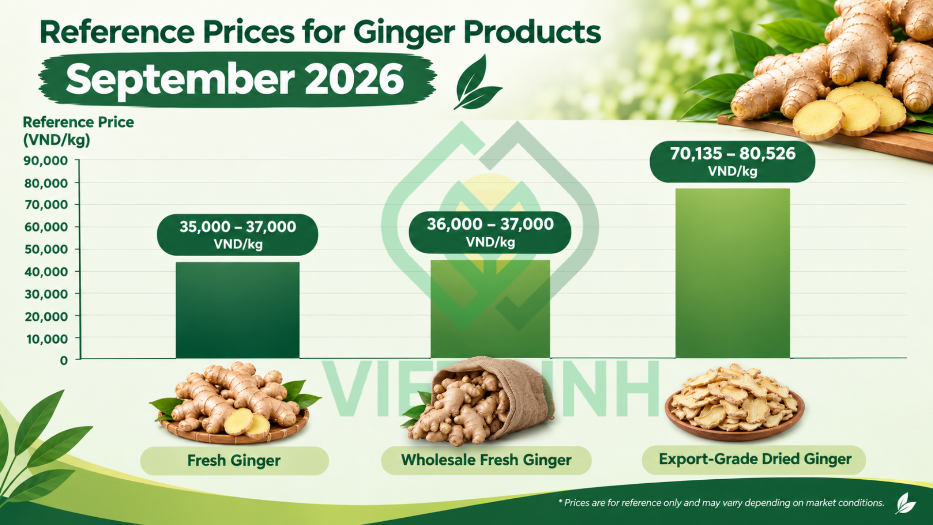 Current Ginger Prices in September 2026