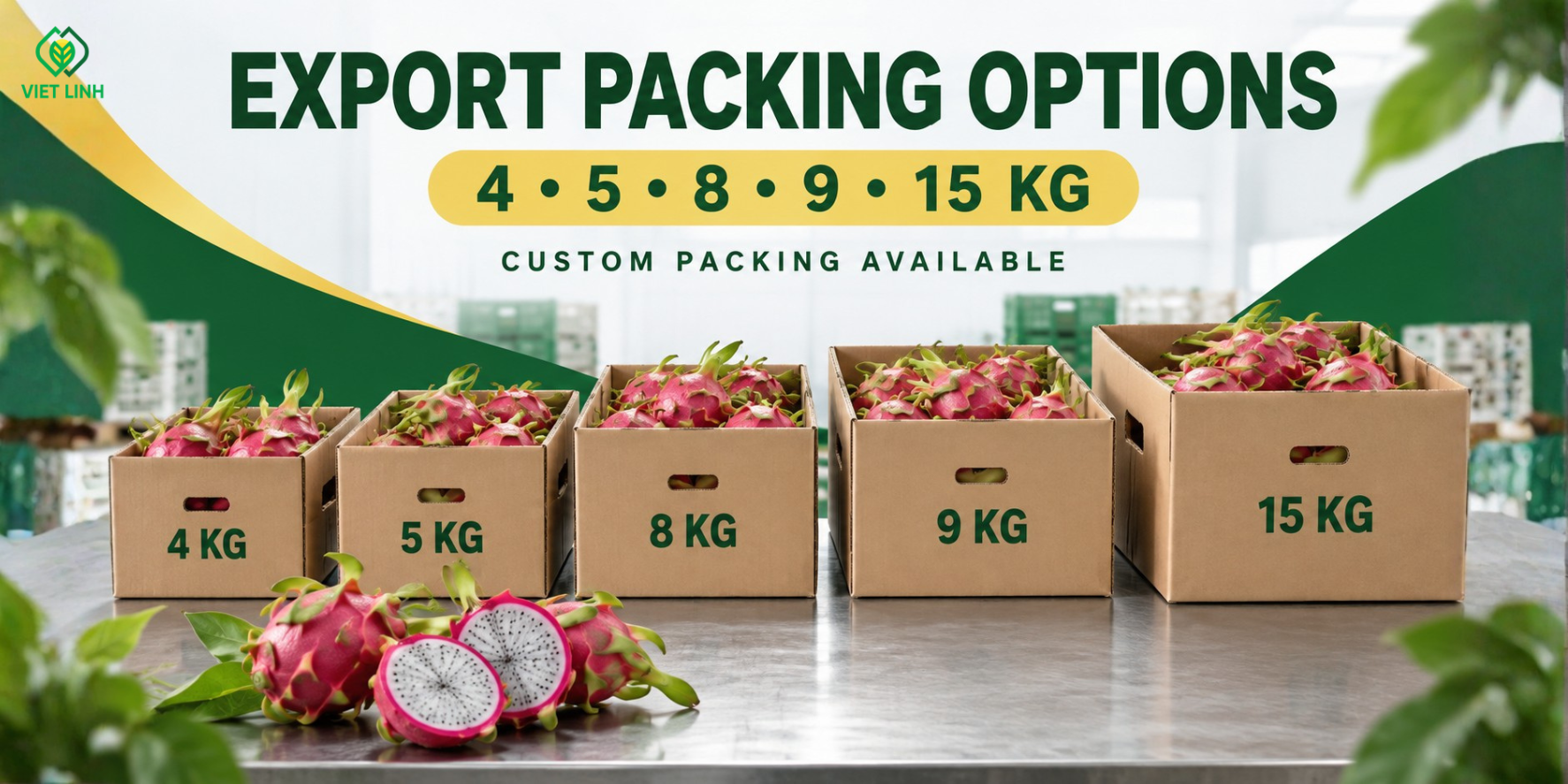 Diverse Dragon Fruit Packaging Specifications