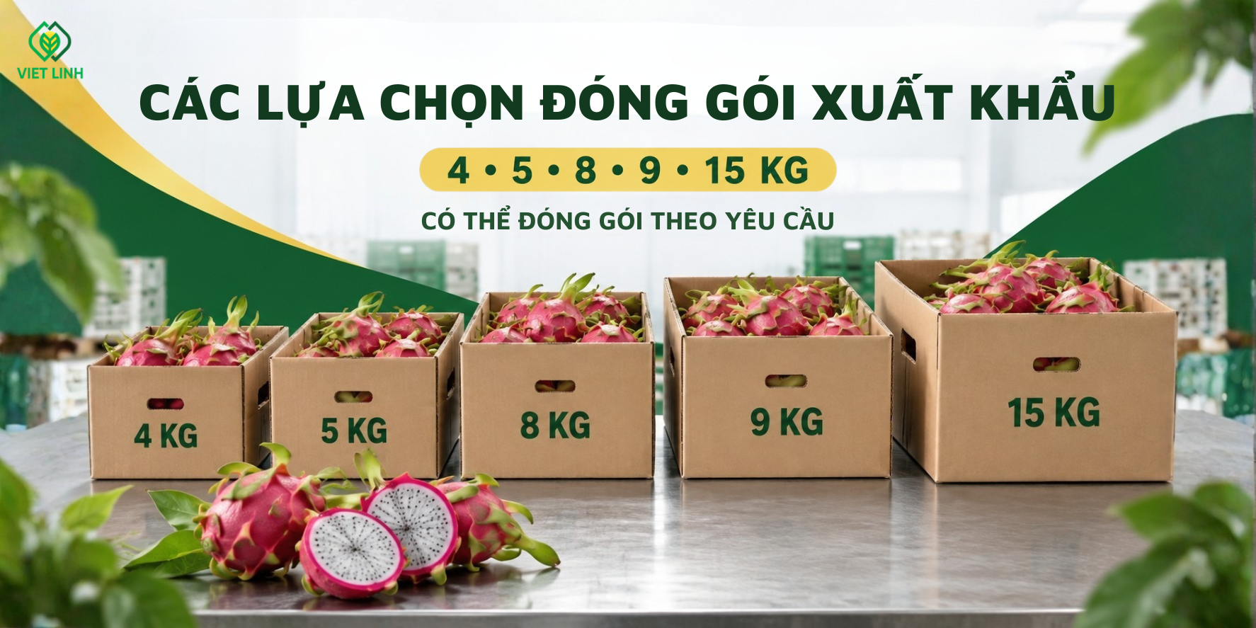 Quy c&aacute;ch đ&oacute;ng g&oacute;i Thanh long đa dạng