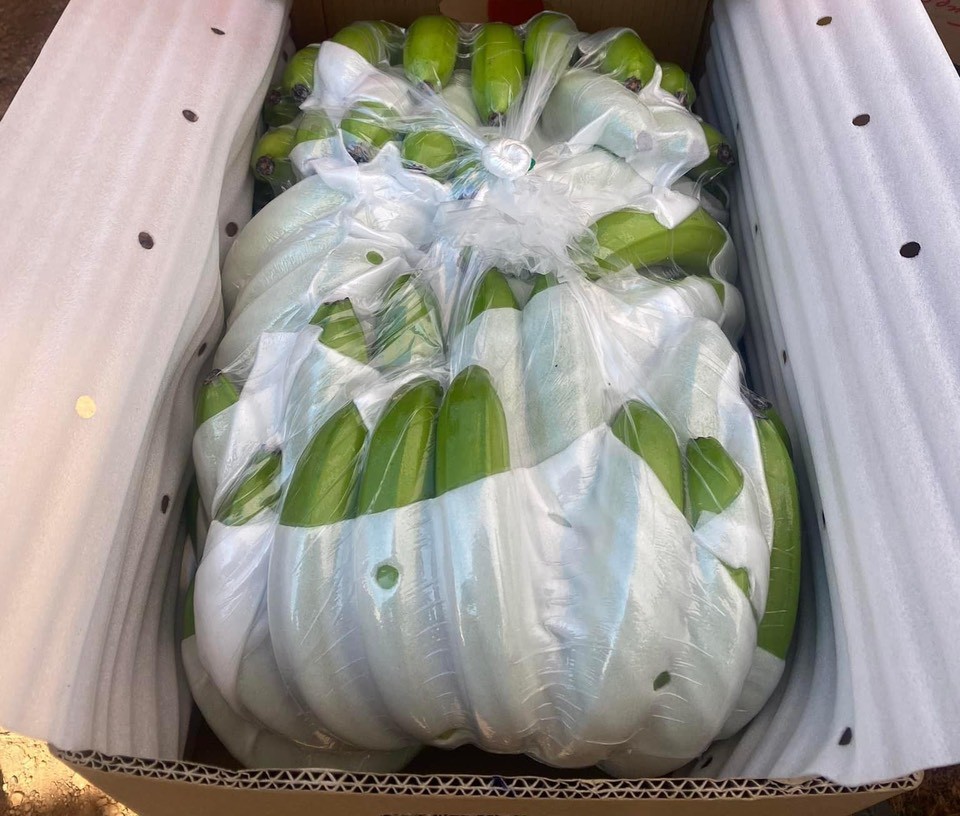 Export-Quality Bananas