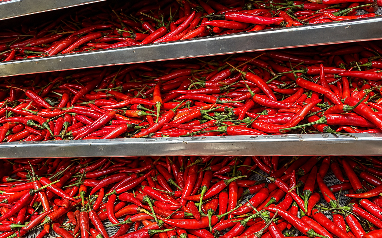 Moisture Content Directly Affects Storage Stability